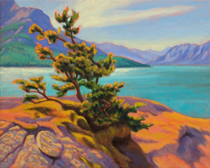 Abraham Lake Pine, Oil Painting by Ann McLaughlin