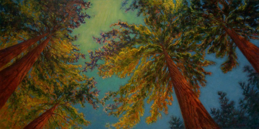 Cathedral Grove, Oil Painting by Ann McLaughlin