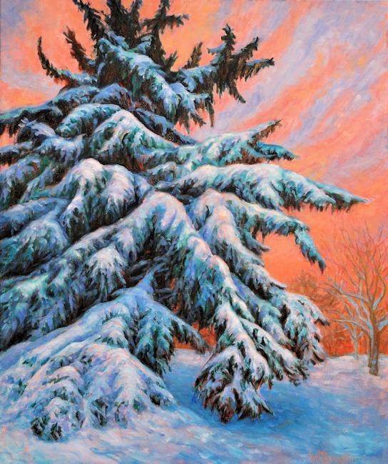 Spruce at Sundown, Oil Painting by Ann McLaughlin